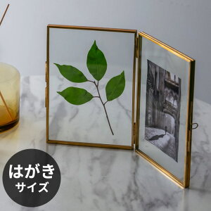 yő2000~N[|z tHgt[ 2 ʐ^ tHgt[KX nKLTCY ʐ^ ʐ^ tHgX^h 2 tHgfBXvC ʐ^ j[ X^h Be[W 