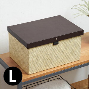 p_ŏot^t[{bNX L t^t  ꕨ o  CeA ӂ oXPbg oXPbgP[X i`G JS  W ӂt [ 