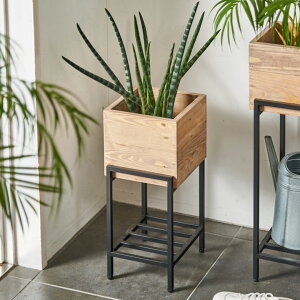 v^[X^h rt ACA ؐ pC V[g ` 5Ή  W 20cm D 22.8cm H 45.4cm {^j[N Botanique v^[ VFt v^[Jo[ v^[bN t[