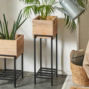 v^[X^h rt ACA ؐ pC g[ ` 5Ή  W 20cm D 22.8cm H 63.9cm {^j[N Botanique v^[ VFt v^[Jo[ v^[bN t[X
