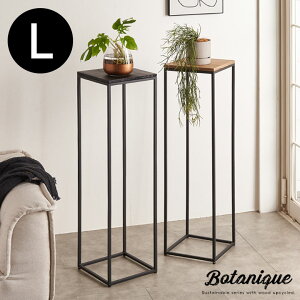 t[X^h v^[X^h rt ؐ ACA pC LTCY  W 26cm D 26cm H 95cm VFt v^[bN t[bN TChe[u I ԑ ~je[u A