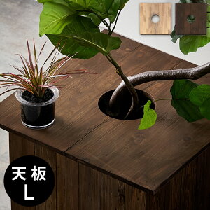 v^[e[u e[uv[g v^[Jo[ ` Jo[ W ӂ t^ V 53.5cm L i` uE Botanique {^j[N ؐ  Ebh Aؔ A e[u TChe[