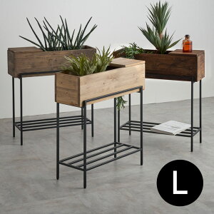 v^[X^h rt v^[ VFt ACA ؐ  Ebh ` i` uE  W 62.4cm D 23.5cm H 71.5cm Botanique {^j[N bN X^h Jo[ TChe[u e