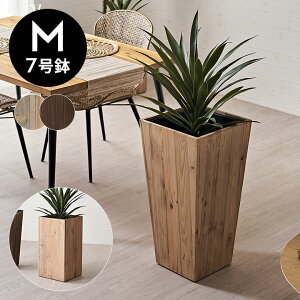 v^[Jo[ Ebhv^[{bNX Ebhv^[Jo[ XNGA g[ MTCY 7p Ci[|bgt ꌊȂ  W 33.5cm D 33.5cm H 65cm Jo[ AؔJo[ Ebh{b