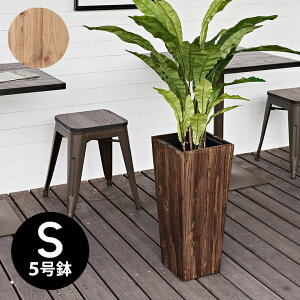 v^[Jo[ v^[Jo[^ Ebhv^[ v^[g[ 5 Ci[|bgt ϗtA ؐ 24.5cm s24.5cm 55cm Botanique {^j[N  Jo[ AؔJ