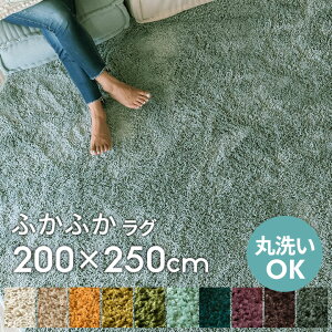 􂦂 O VM[O}bg ~ߕt 100×140`200×250cm ` ` ~` }CNt@Co[  OJ[ybg zbgJ[ybgΉ g[ O~  VM[O k 