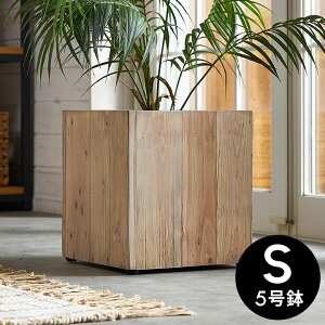 v^[Jo[ Ebhv^[{bNX v^[|bg XNGA^ STCY 5Aؔ Ci[|bg 24.5×24.5cm 26cm ؐ Botanique {^j[N Jo[ ϗtA Ԏd؂ ^A