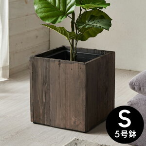 v^[Jo[ Ebhv^[{bNX v^[|bg XNGA^ STCY 5Aؔ Ci[|bg 24.5×24.5cm 26cm ؐ Botanique {^j[N Jo[ ϗtA Ԏd؂ ^A