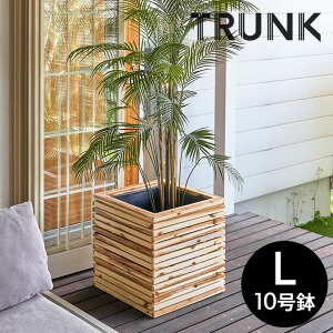 yő500~N[|z v^[Jo[ v^[{bNX ؐ Ebh VR AJVA LTCY 10p Ci[|bgt ꌊȂ  W 49.5cm D 49.5cm H 50.5cm ` Jo[ AؔJo