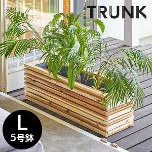 v^[Jo[ v^[{bNX ؐ Ebh VR AJVA LTCY 5p Ci[|bgt ꌊȂ  W 84cm D 26cm H 26.5cm ` Jo[ AؔJo[ eX  rO TRUN