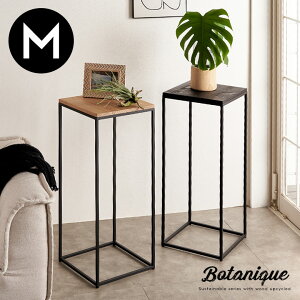 t[X^h v^[X^h rt ؐ ACA pC MTCY  W 32cm D 32cm H 75cm VFt v^[bN t[bN TChe[u I ԑ ~je[u A