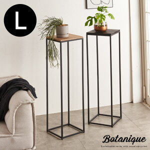 yő500~N[|z t[X^h v^[X^h rt ؐ ACA pC LTCY  W 26cm D 26cm H 95cm VFt v^[bN t[bN TChe[u I 