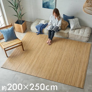 قނ ^J[ybg OTCY 140×200cm ^J[ybg coastal R[X^CeA J[ybg O  炮 }bg a a_ a _ ^ Ђp Ce