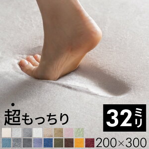 yő2000~N[|z O J[ybg  O}bg \t`F 200×250cm 32mm Ɍ OJ[ybg  tȂ NbV g[ zbgJ[ybgΉ ~ߕt 