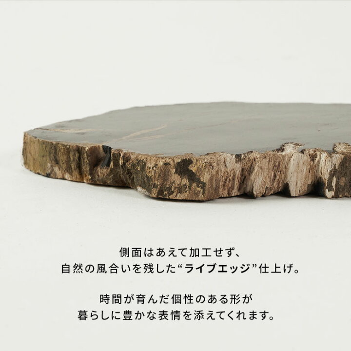 楽天市場】珪化木 コースター 木の化石 ペトリファイドウッド 天然石 