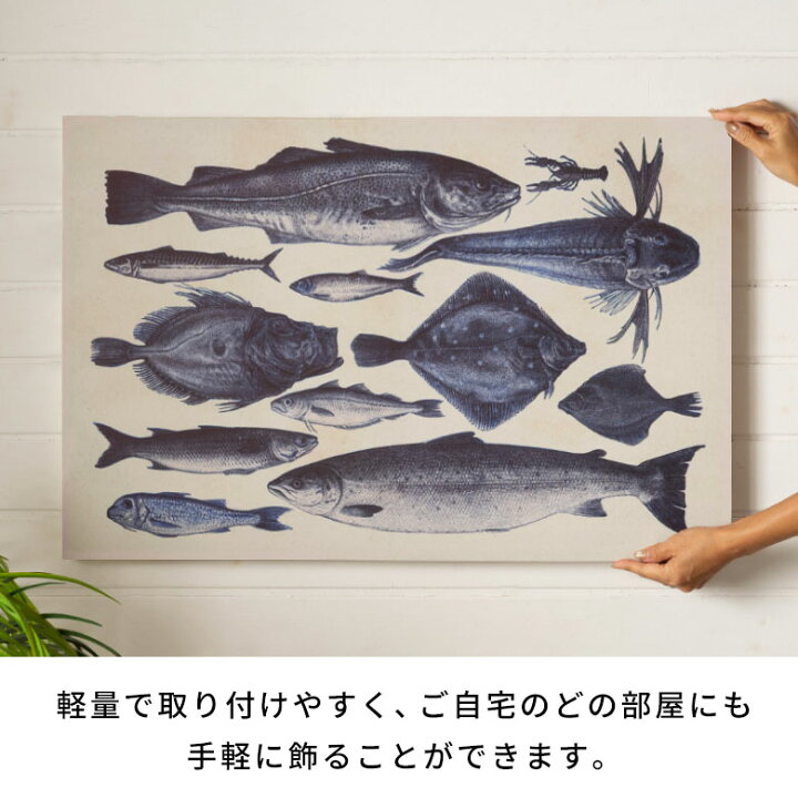 楽天市場】【最大500円クーポン】 アートパネル モダン おしゃれ 魚 