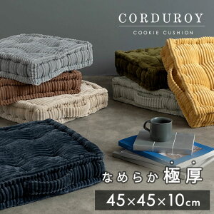 zc NbV [ 45 × 45cm Ɍ10cm tANbV  45×45cm Ƃ낯锧G R[fC  k   ֎q t ӂӂ 傫 킢 zcz 