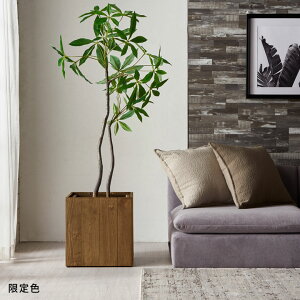 �v�����^�[�J�o�[ �E�b�h�v�����^�[�{�b�N�X �v�����^�[�|�b�g �X�N�G�A�^ S�T�C�Y 5���A�ؔ� �C���i�[�|�b�g 24.5×24.5cm ����26cm �ؐ� Botanique �{�^�j�[�N ���J�o�[ �ϗt�A�� �Ԏd�؂� ��^�A