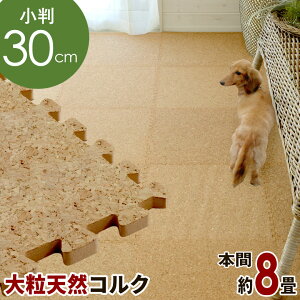 yő2000~N[|z GRN RXp̍ RN}bg 嗱30cm^Cv 169Zbg{8p TChp[ct RNJ[ybg WCg}bg RN^C RNV[g  DIY }