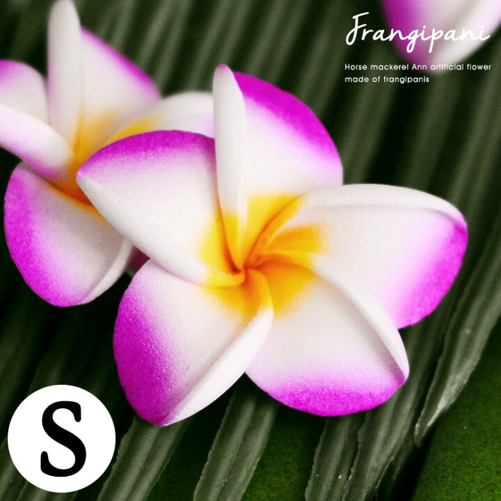 楽天市場 小さなプルメリア造花 バイオレット Sサイズ 造花 花びら スポンジでできたプルメリアの花 南国 リゾート オブジェ 飾り フラワー インテリア ハワイアン パーツ 装飾 観葉植物 アレンジメント おしゃれ かわいい プレゼント 紫 メール便対応 s 生活 楽天市場 小さなプルメリア造花 バイオレット Sサイズ 造花 花びら スポンジでできたプルメリアの花 南国 リゾート オブジェ 飾り フラワー インテリア ハワイアン パーツ 装飾 観葉植物 アレンジメント おしゃれ かわいい プレゼント 紫 メール便対応 s 生活