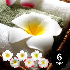 yő2000~N[|z vA ȃGRm~[^Cv A[eBtBVt[ Ԃт 썑 ][g IuWF  fR[V nCAG n CeA jO 