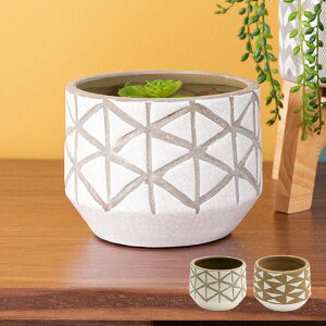 yő500~N[|z Aؔ Jo[ a13.5cm  eRb^ |bg ~j K[fG CeA uE zCg O[ [98911]