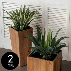 tFCNO[ tFCNvc AKy ϗtA O[ 50cm A[gvc A E[c CeAO[ sv A  {^jJ rO 