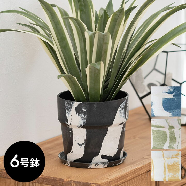 楽天市場】【最大500円クーポン】 植木鉢 プランツポット 6号鉢 