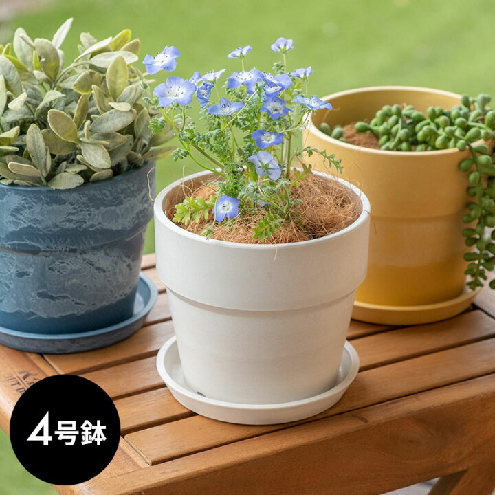 楽天市場 植木鉢 プランツポット 4号鉢 プラスチック 無地 受け皿付き プランター 直径13 5cm 4号 鉢カバー プランターカバー ガーデニング 園芸 花 観葉植物 ベランダ おしゃれ ブラック アイボリー ホワイト ブラウン ピンク イエロー ブルー 底穴あり 生活