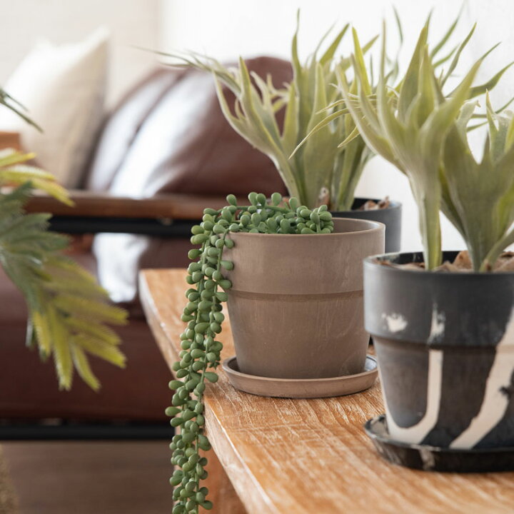 楽天市場 植木鉢 プランツポット 4号鉢 プラスチック 無地 受け皿付き プランター 直径13 5cm 4号 鉢カバー プランターカバー ガーデニング 園芸 花 観葉植物 ベランダ おしゃれ ブラック アイボリー ホワイト ブラウン ピンク イエロー ブルー 底穴あり 生活