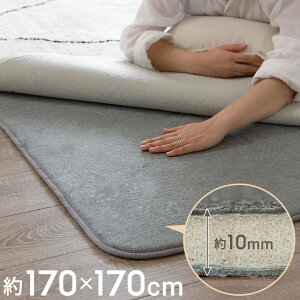 ~pO 170×170cm ӂs^ h ~ NbV 擾 2p O O}bg J[ybg }bg イ O~ ~ E^ 􂦂 EHbVu ېOK ~ 