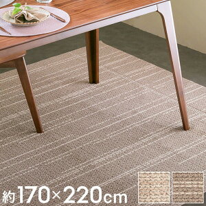 yő500~N[|z O O}bg _CjO ^tg 170×220cm Y h_j J[ybg  ` O O~ イ I[V[Y t  H ~ { ^tgD _CjO