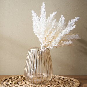 yő2000~N[|z tFCNO[ ppX [t V[g  34 cm 3{  zCg AC{[  fBXvC ubV ԑ ϗtA {^jJ A  i