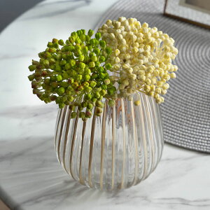 OCx[  A[eBtBVO[ tFCNO[  20cm A[gvc CeA  ʎ ؂̎ ԍ  R[fBl[g t[AWg fBXv