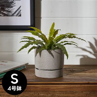 植木鉢 ポリストーン ストーン調 セメント調 4号鉢 受皿 底穴あり 小型 Sサイズ 約 W 12.5cm D 12.5cm H …