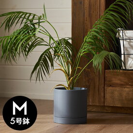 植木鉢 陶器 マット 5号鉢 受皿 底穴あり 中型 Mサイズ 約 W 15cm D 15cm H 14.5cm ブラック ブルー アイボリー 鉢カバー プランターポット 植木鉢カバー プランターカバー 店舗用 おしゃれ カフェ 北欧 観葉植物 花 多肉植物 インテリア 雑貨 西海岸 [94030]