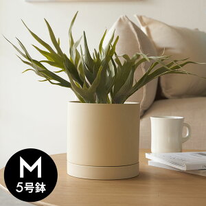 Aؔ  }bg 5 M ꌊ ^ MTCY  W 15cm D 15cm H 14.5cm ubN u[ AC{[ Jo[ v^[|bg AؔJo[ v^[Jo[ Xܗp  JtF 