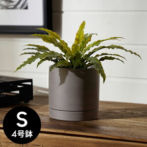 【最大500円クーポン】 植木鉢 陶器 マット 4号鉢 受皿 底穴あり 小型 Sサイズ 約 W 11.5cm D 11.5cm H 11cm チャコールグレー ブルーグレー アイボリー 鉢カバー プランターポット 植木鉢カバー プラ