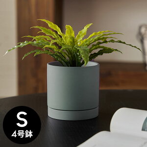 Aؔ  }bg 4 M ꌊ ^ STCY  W 11.5cm D 11.5cm H 11cm `R[O[ u[O[ AC{[ Jo[ v^[|bg AؔJo[ v^[Jo[ Xܗp 