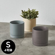 植木鉢 陶器 マット 4号鉢 受皿 底穴あり 小型 Sサイズ 約 W 11.5cm D 11.5cm H 11cm チャコールグレー …