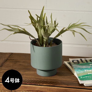 Aؔ  }bg 4 M ꌊ ^ nC^Cv  W 13.5cm D 13.5cm H 14cm `R[O[ u[O[ AC{[ Jo[ v^[|bg AؔJo[ v^[Jo[ X