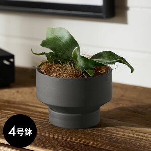 Aؔ  }bg 4 M ꌊ ^ [^Cv  W 11.5cm D 11.5cm H 8cm `R[O[ u[O[ AC{[ Jo[ v^[|bg AؔJo[ v^[Jo[ X