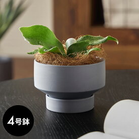 植木鉢 陶器 マット 4号鉢 受皿 底穴あり 小型 ロータイプ 約 W 11.5cm D 11.5cm H 8cm ブラック ブルー アイボリー 鉢カバー プランターポット 植木鉢カバー プランターカバー 店舗用 おしゃれ カフェ 北欧 観葉植物 花 多肉植物 インテリア 雑貨 西海岸 [94033]