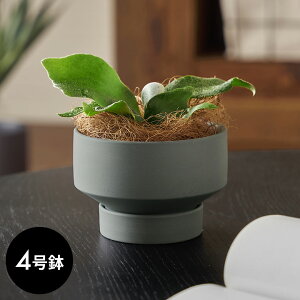 yő500~N[|z Aؔ  }bg 4 M ꌊ ^ [^Cv  W 11.5cm D 11.5cm H 8cm `R[O[ u[O[ AC{[ Jo[ v^[|bg AؔJo[ 