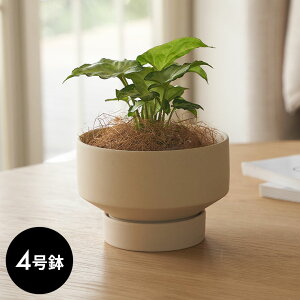 yő500~N[|z Aؔ  }bg 4 M ꌊ ^ [^Cv  W 11.5cm D 11.5cm H 8cm ubN u[ AC{[ Jo[ v^[|bg AؔJo[ v^[Jo