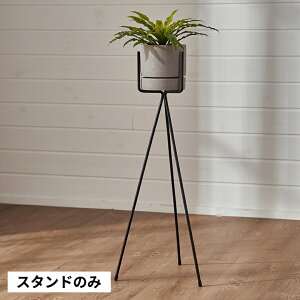 v^[X^h X^h tH[N^ ACA S a 25cm  60cm ubN AؔX^h 3 K[fG |bgX^h v^[bN t[X^h ACAX^h