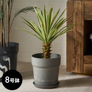Aؔ }[u͗l Xg[ 嗝Ε 8 M ꌊ ^  W 26.5cm D 26.5cm H 28cm v^[ v^[|bg  Jo[ 󂯎M AؔJo[ v^[Jo[ Xܗp 