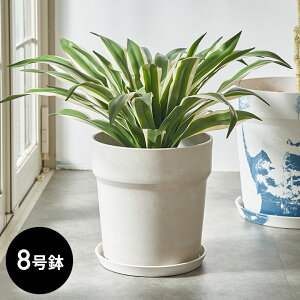 yő2000~N[|z Aؔ }[u͗l Xg[ 嗝Ε 8 M ꌊ ^  W 26.5cm D 26.5cm H 28cm v^[ v^[|bg  Jo[ 󂯎M AؔJo[ v^[