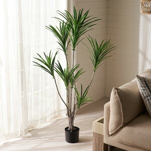 tFCNO[ bJ E[c  130cm ϗtA O[ t[  A[eBtBVvc tFCNvc A  A[gO[ fBXvC i` 5