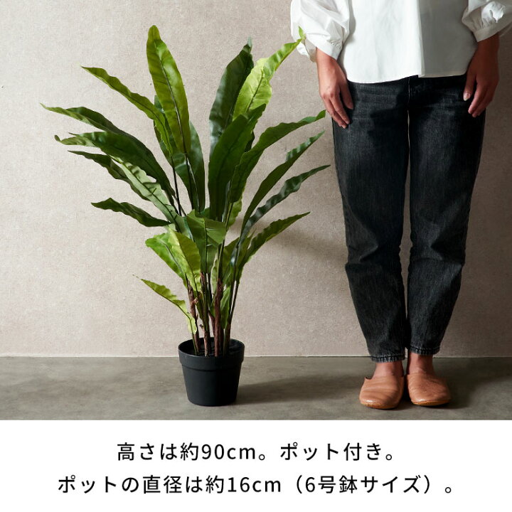 楽天市場】【最大500円オフクーポン配布中！】 フェイクグリーン 